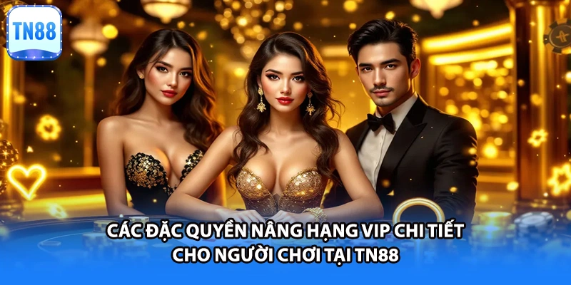 Các đặc quyền nâng hạng VIP chi tiết cho người chơi tại TN88