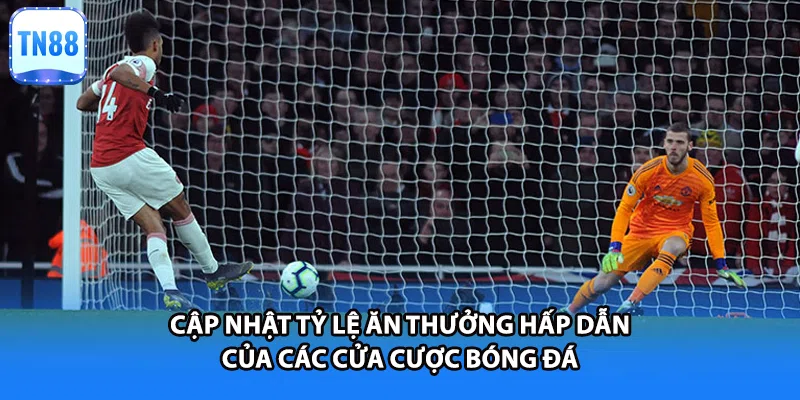 Cập nhật tỷ lệ ăn thưởng hấp dẫn của các cửa cược bóng đá