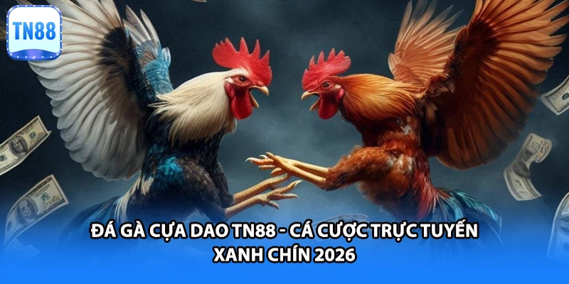 Đá Gà Cựa Dao TN88 - Cá Cược Trực Tuyến Xanh Chín 2026