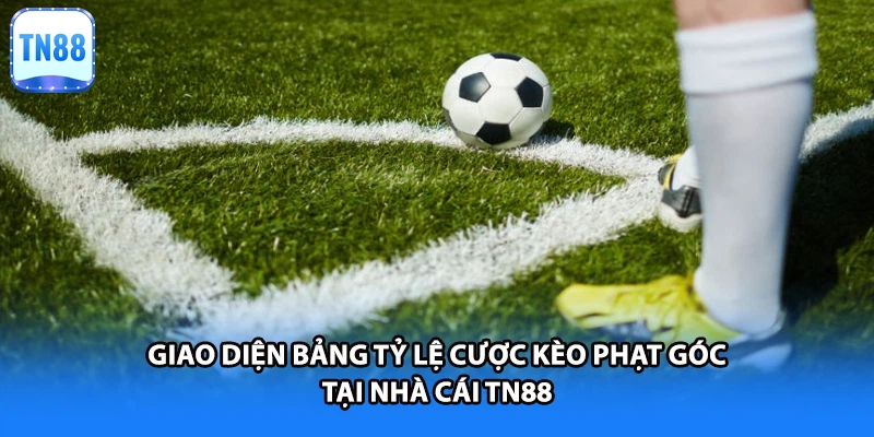 Giao diện bảng tỷ lệ cược kèo phạt góc tại nhà cái TN88