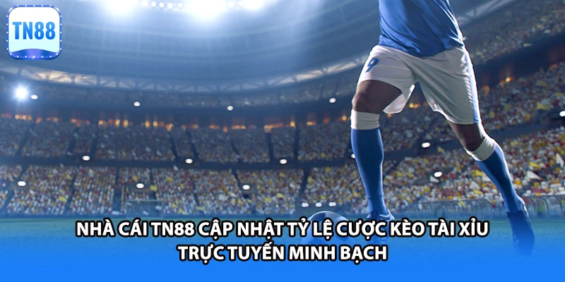 Nhà cái TN88 cập nhật tỷ lệ cược kèo tài xỉu trực tuyến minh bạch 