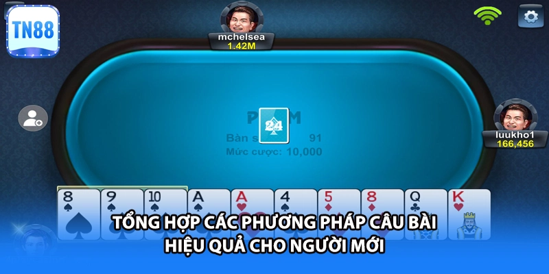 Tổng hợp các phương pháp câu bài hiệu quả cho người mới
